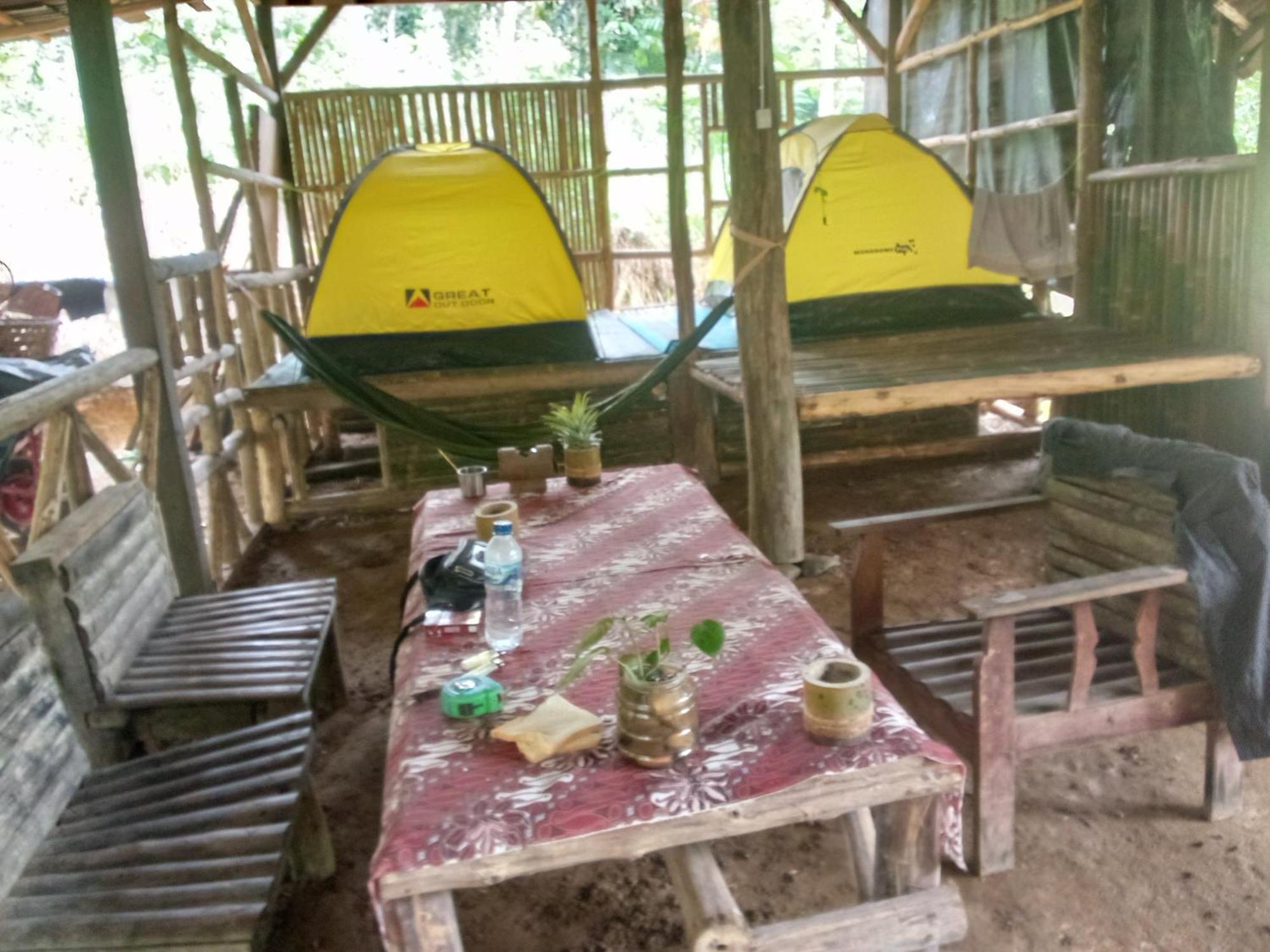 Landak River Guest House Only Trekking With Us Букит-Лаванг Экстерьер фото