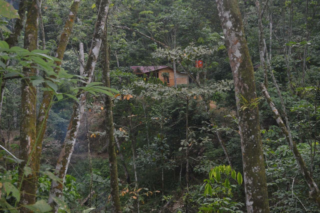 Landak River Guest House Only Trekking With Us Букит-Лаванг Экстерьер фото