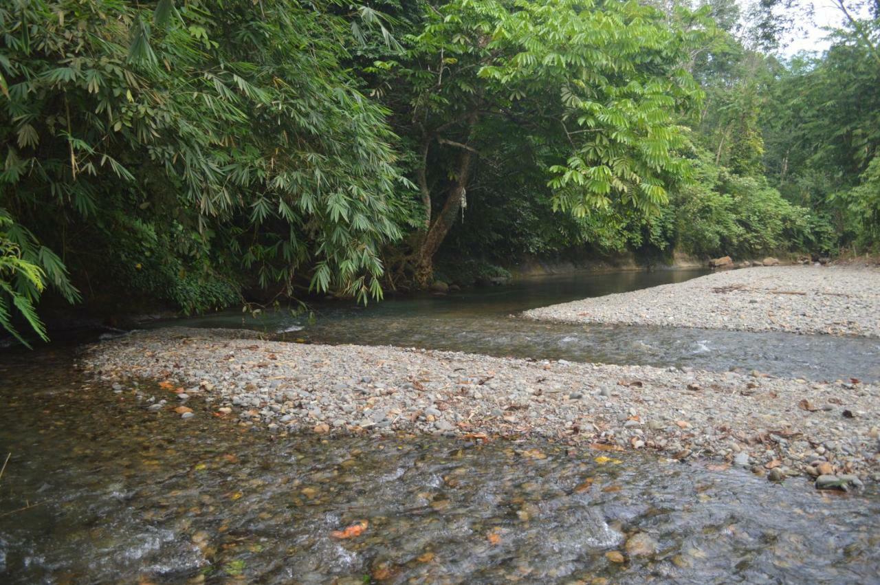 Landak River Guest House Only Trekking With Us Букит-Лаванг Экстерьер фото